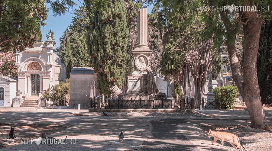 кладбище Празереш
