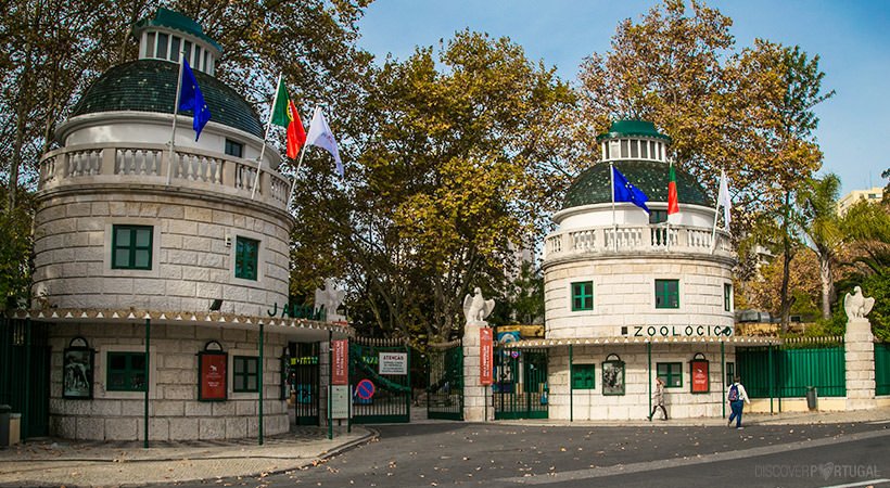 вход в зоопарк