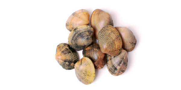 Ameijoa