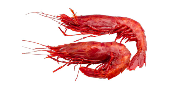 Carabineiros