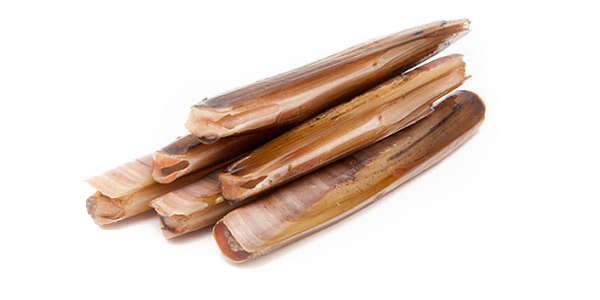 Lingueirão
