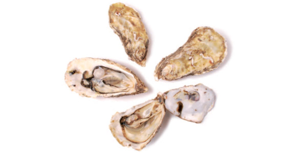 Ostras