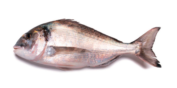 Dourada
