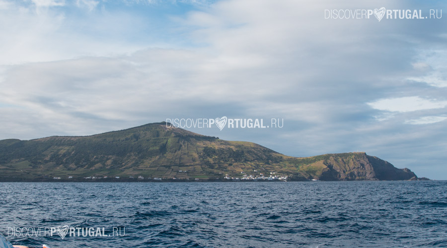 Грасиоза