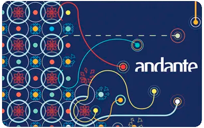 билет Andante