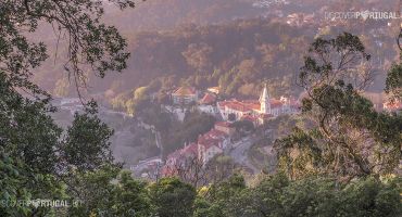 Парки и дворцы Синтры закрыты до 18 сентября
