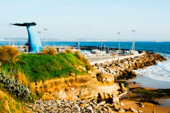 Torre-4.jpg