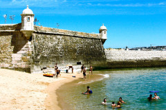 batata-3.jpg