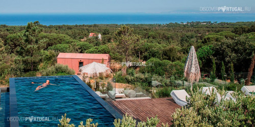 Эко-отель «Villa Epicurea» Эко-отель «Villa Epicurea»